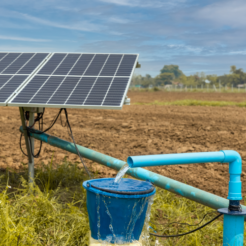 Advancing Sustainable Agricultural Practices by safer_globe_conservation_trust_uganda_hoima_oil_city