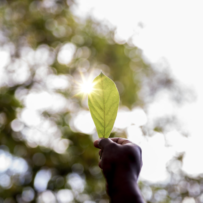 Promoting Environmental Education and Awareness by safer_globe_conservation_trust_uganda_hoima_oil_c (1)