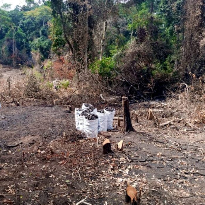 Advancing Sustainable Agricultural Practices by safer_globe_conservation_trust_uganda_hoima_oil_city